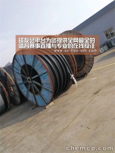 球友会平台为您提供全网最全的体育赛事直播与专业的在线投注服务。高赔率、安全快捷,立即注册体验!:厄瓜多尔米拉多铜矿将于2018年投产(图3) 球友会平台为您提供全网最全的体育赛事直播与专业的在线投注服务。高赔率、安全快捷,立即注册体验!